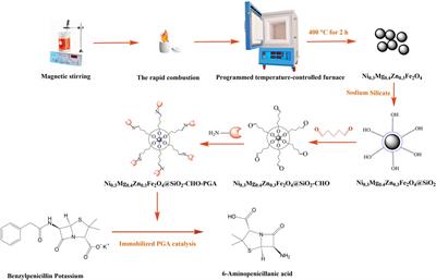 Immobilization and property of penicillin G acylase on amino functionalized magnetic Ni0.3Mg0.4Zn0.3Fe2O4 nanoparticles prepared via the rapid combustion process